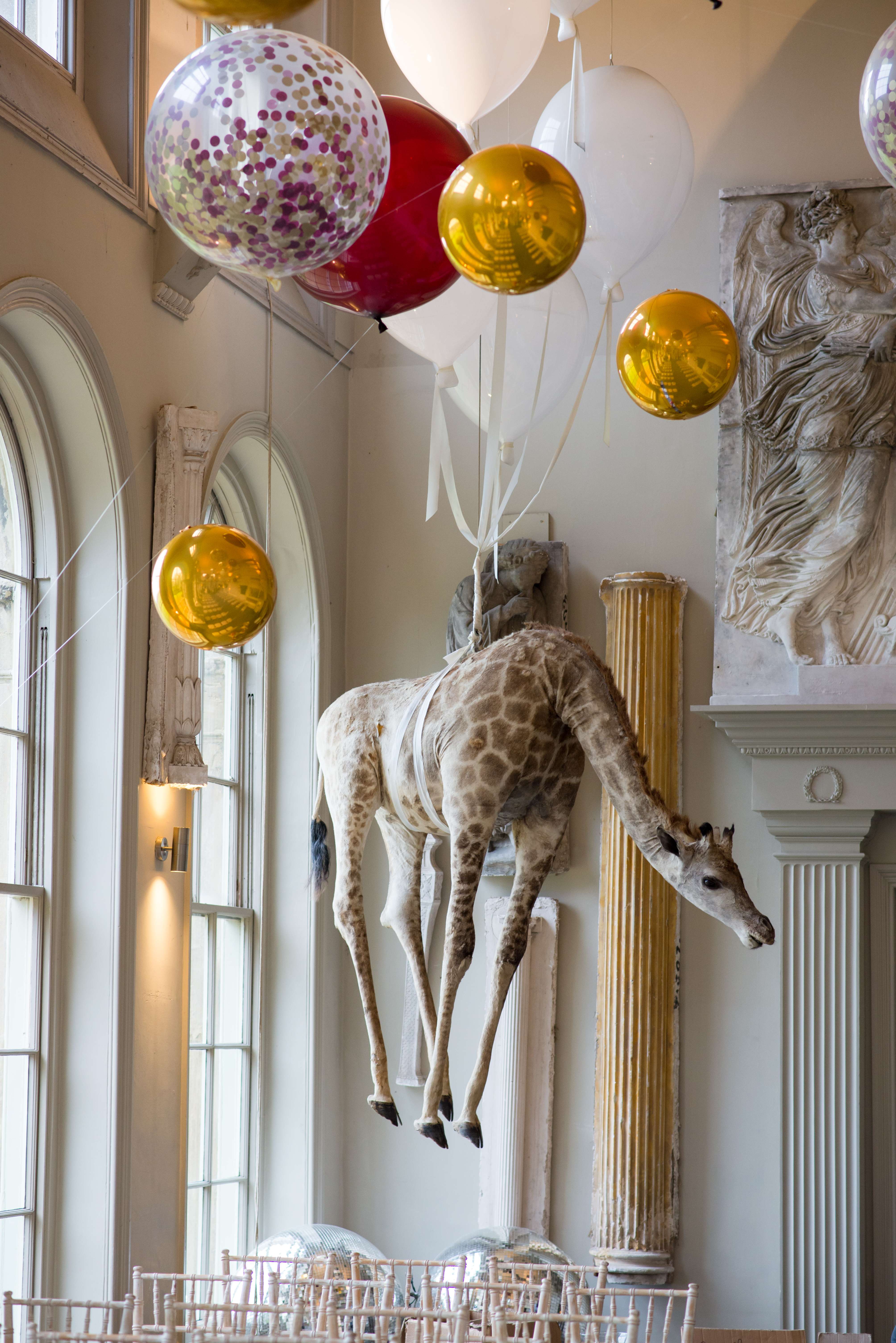 A giraffe hanging from balloons from the ceiling at aynhoe park